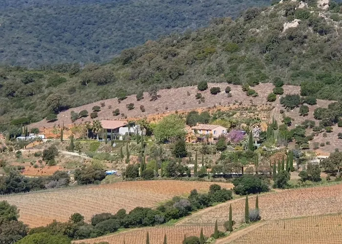 Bel Style Vintage Vue La Londe-les-Maures