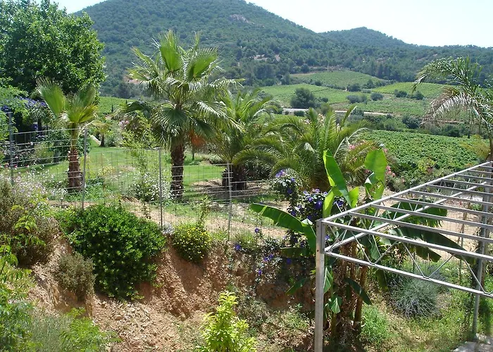 Bel Style Vintage Vue *