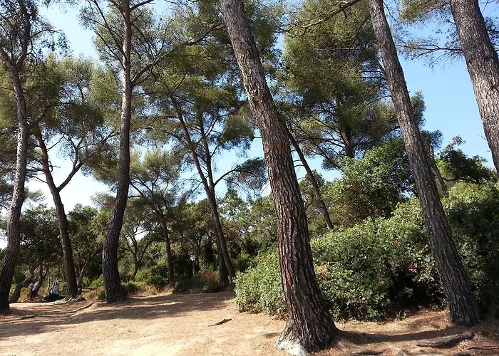 Bel Style Vintage Vue Appartamento